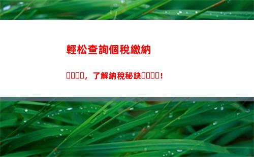 一鍵查詢個稅，輕松掌握收支情況！